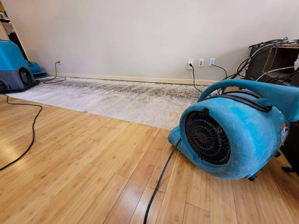 Reliable Basement Flood Cleanup contractor in Lebanon, VA by Hirex Water Damage