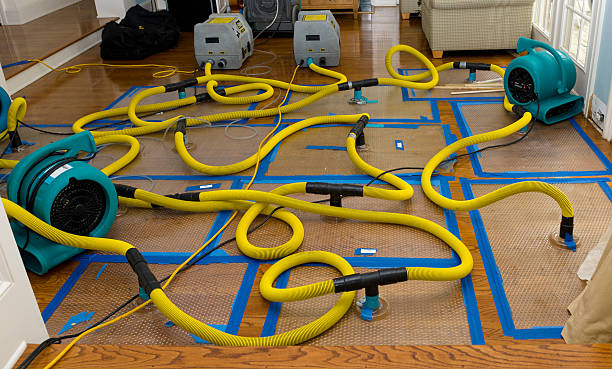 Professional Basement Flood Cleanup technician working in Lebanon, VA